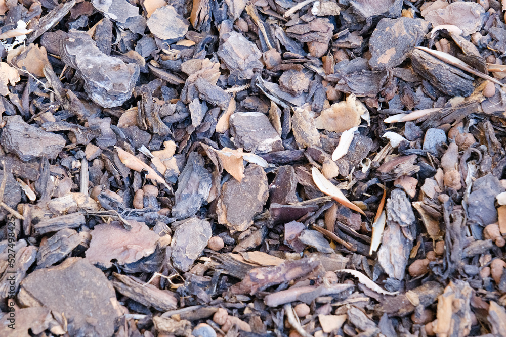 Tree bark mulch texture, outdoor, background, chestnut wood chips for ground bedding in the garden, shredded pine crust, pattern, mulching.