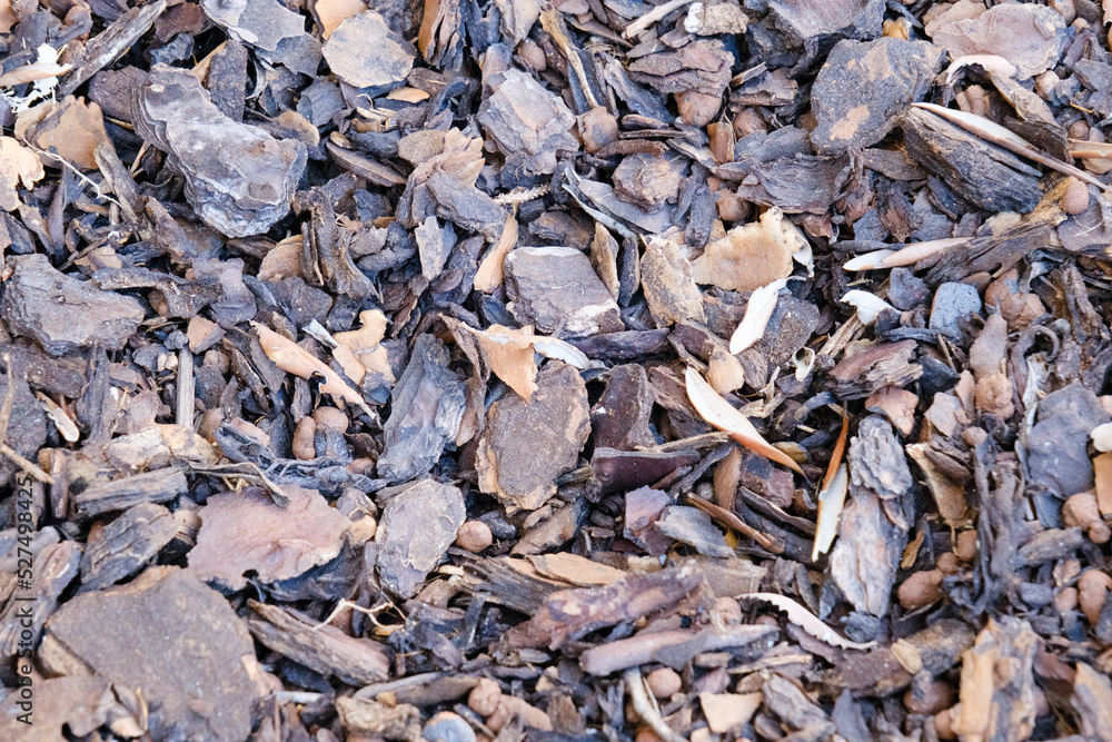 Tree bark mulch texture, outdoor, background, chestnut wood chips for ground bedding in the garden, shredded pine crust, pattern, mulching. Tree bark mulch texture, outdoor, background, chestnut wood chips for ground bedding in the garden, shredded pine crust, pattern, mulching.