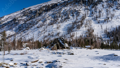 Picturesque boulders in the valley are covered with a layer of snow. The forest grows on a mountain slope. Blue sky. A sunny winter day. Altai