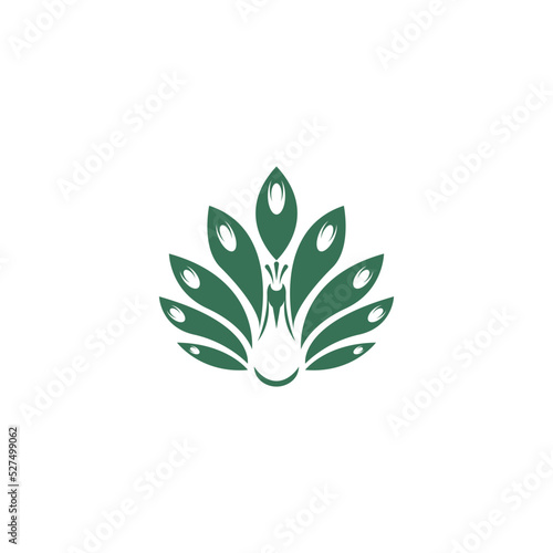 Peacock icon logo design
