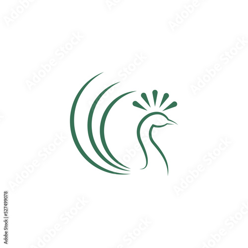 Peacock icon logo design