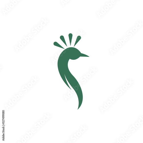 Peacock icon logo design