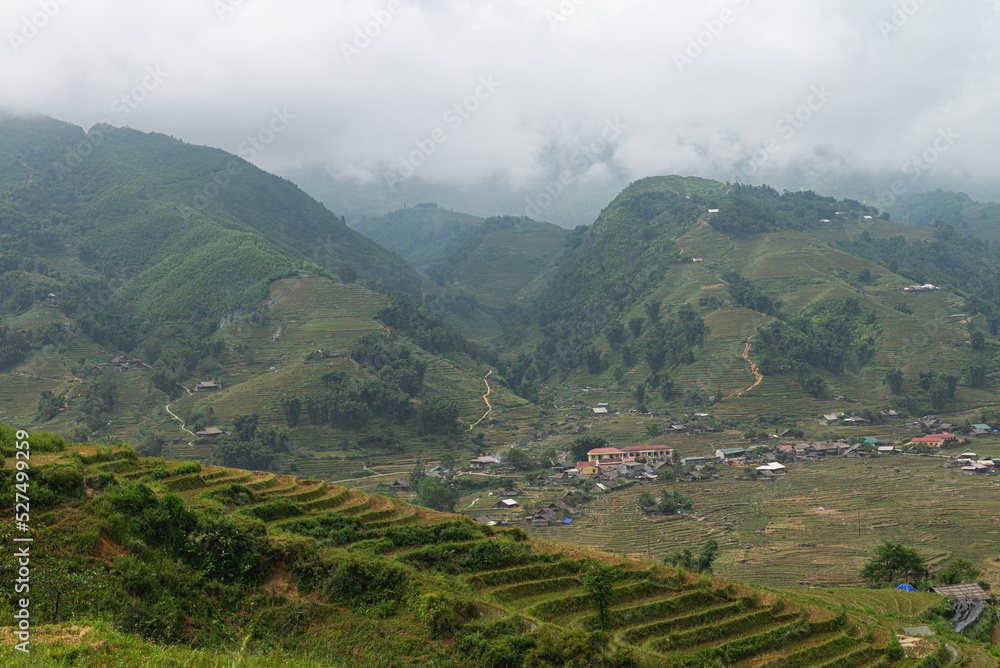 Fototapeta premium Natural Mountain rice filed, Vietnam 2017.