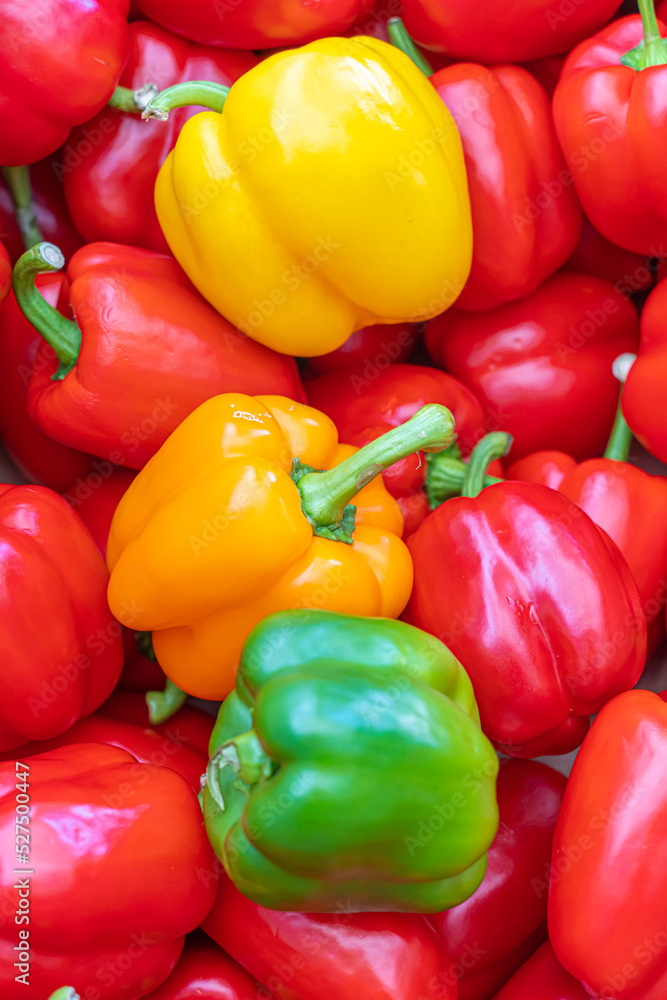 Pile of Organic Fresh Bell Peppers on display Pile of Organic Fresh Bell Peppers on display