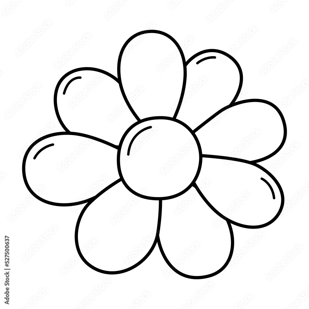 Camomile daisy chamomile line icon. Camomile daisy chamomile line icon.