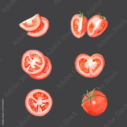 Tomatoes set. Hand drawn watercolor vector illustration