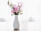 Pink flowers in vase on table Ruellia tuberosa flowering plant ,minnieroot ,fever root ,snapdragon root ,sheep potato ,Ruellia humilis, Mexican petunia ,Britton's wild petunia ,Aphelandra simplex 