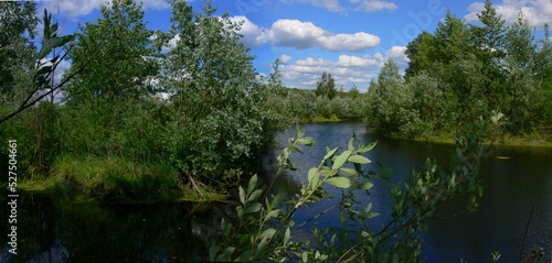 Summer landscape with a river, trees and white clouds in the blue sky.