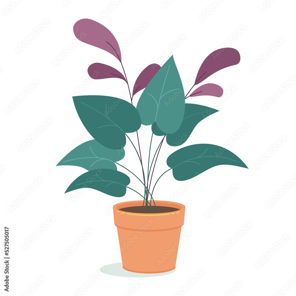 Fototapeta premium House plants in pot. Trendy plants in flat style.