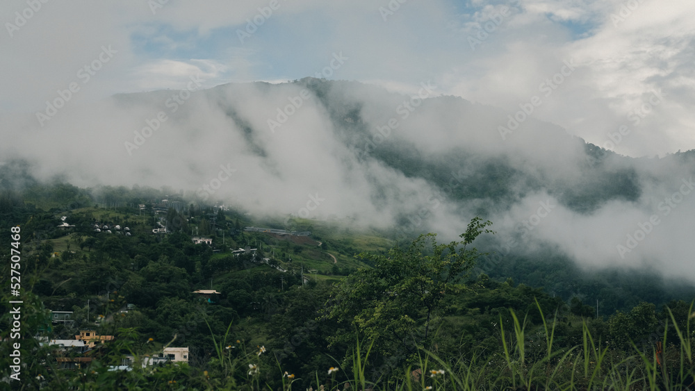 fog in the mountains