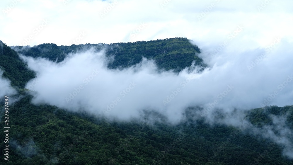 fog in the mountains