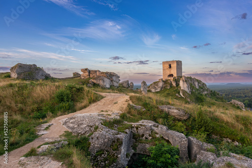 Zamek w Olsztynie, krajobrazy