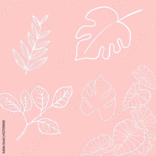 pink and white leaves background