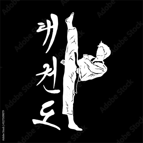 taekwondo design vector illustration, Creative logo design concepts template, icon symbol