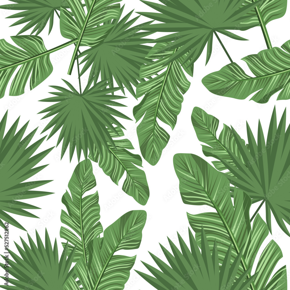 Seamless pattern of tropical leaves on a white background.Vector pattern can be used in textiles, paper.