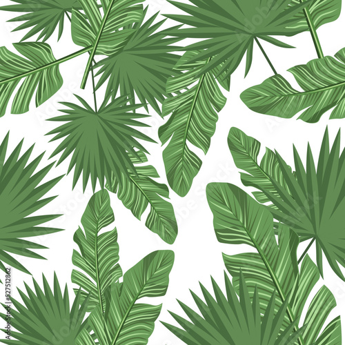 Fototapeta Naklejka Na Ścianę i Meble -  Seamless pattern of tropical leaves on a white background.Vector pattern can be used in textiles, paper.