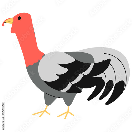Female Turkey 3D Icon