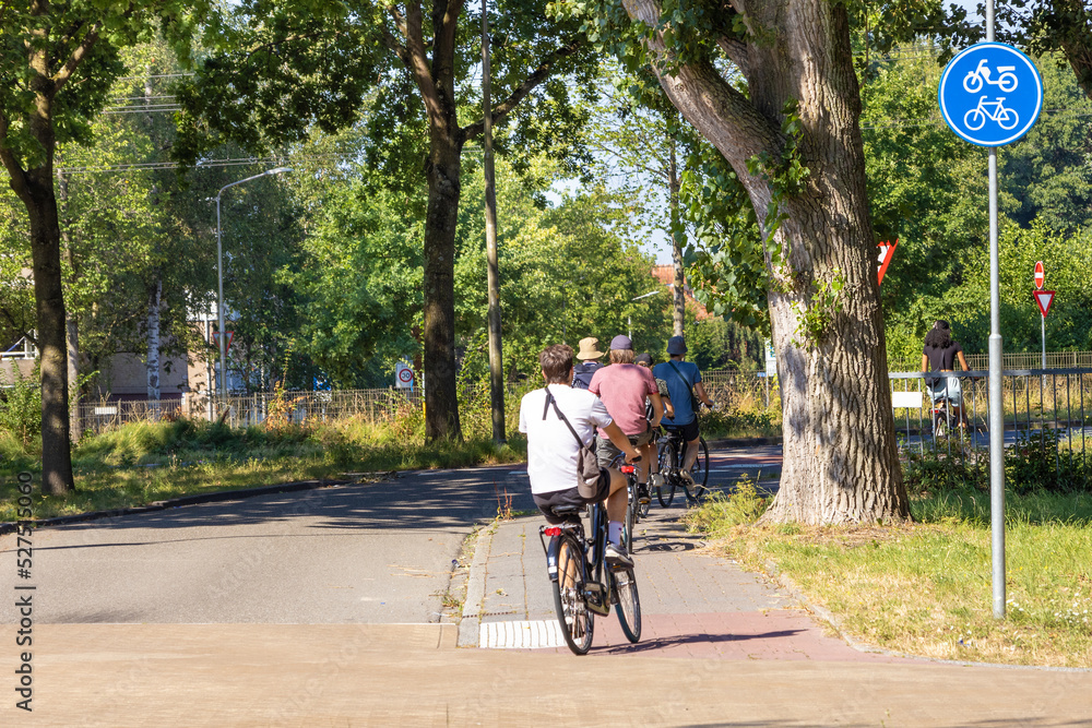 Obraz premium A group of cyclists rides along the road along the forest. Healthy lifestyle concept