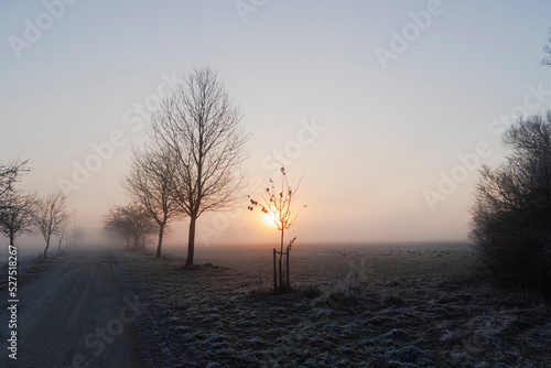 A hoarfrost covered misty meadow at sunrise in the Siebenbrunn nature reserve near Augsburg, Germany © were