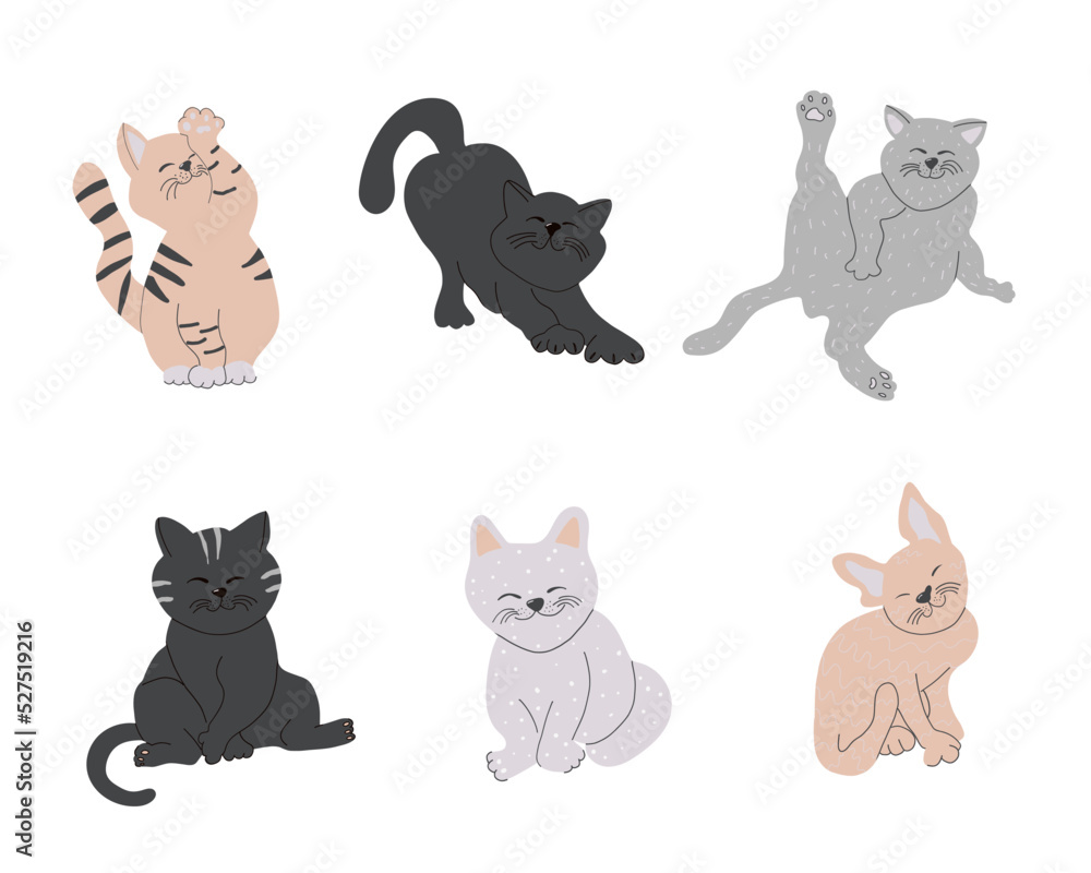 Set of doodle cats in different poses. Vector hand drawn animals illustration