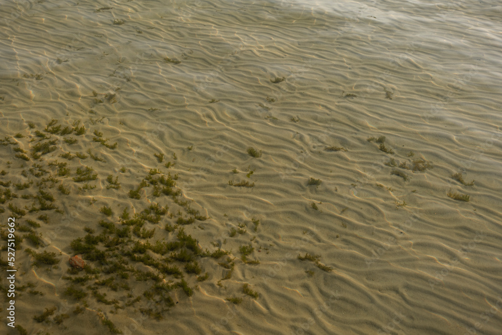 Sand beach. Calm shore. Tranquil and sunny day on vacation. Sandy texture. Pattern. Natural surface. Aqua. Reflection. Deep water. Light. Texture. Pure Sand beach. Calm shore. Tranquil and sunny day on vacation. Sandy texture. Pattern. Natural surface. Aqua. Reflection. Deep water. Light. Texture. Pure