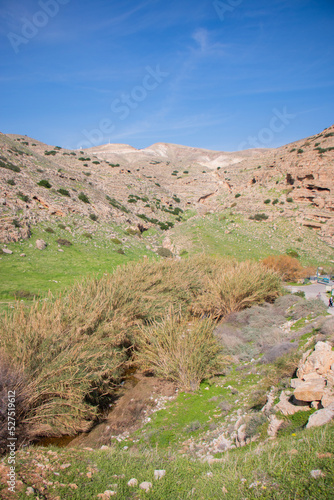 Mountains and nature of Jericho, Palestine