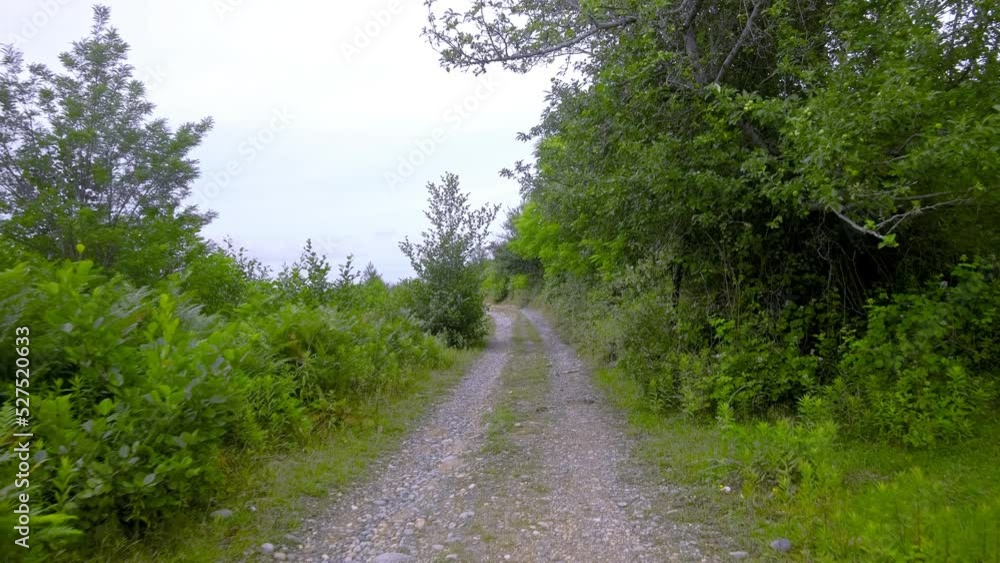The camera moves along a tropical mountain road The camera moves along a tropical mountain road