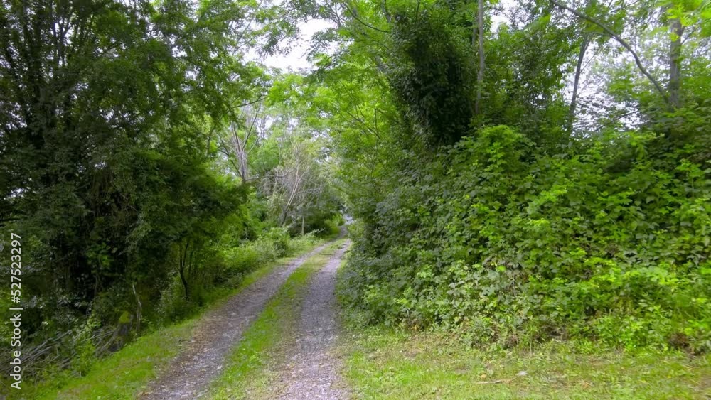 The camera moves along a tropical mountain road The camera moves along a tropical mountain road