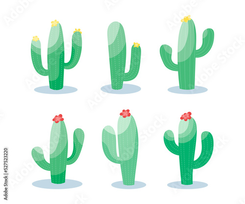 Set of cactus vector