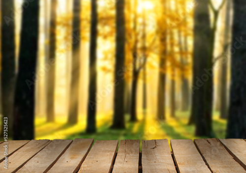 Wooden table top on blur light forest or gardent.Before sunset concept.For montage product display or design key visual layout.View of copy space.