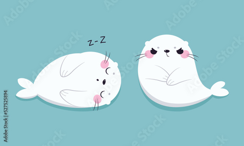 Cute Seal with White Fur and Pink Cheeks Sleeping and with Grumpy Face Vector Set