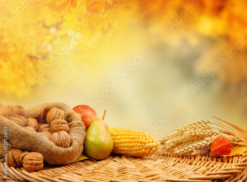 Pear  walnut  spikelets  and corn on harvest table with autumn background - Thanksgiving 