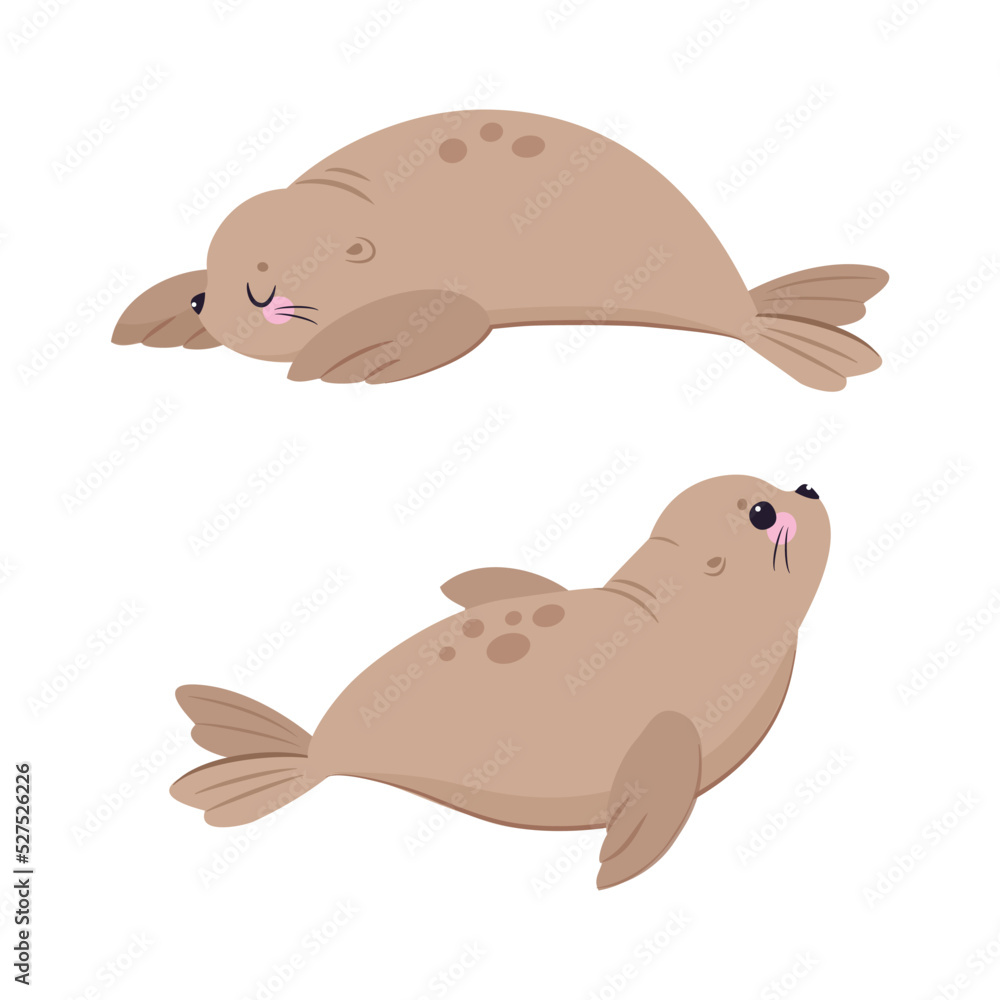 Funny Seal with Cute Snout Having Beige Fur and Fins Lying Vector Set Funny Seal with Cute Snout Having Beige Fur and Fins Lying Vector Set