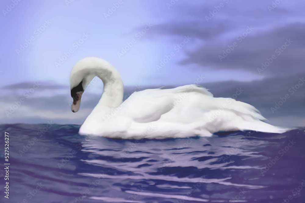 Fototapeta premium Swan on water