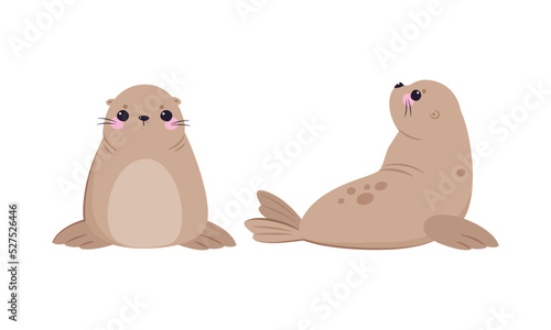 Funny Seal with Cute Snout Having Beige Fur and Fins Sitting and Lying Vector Set
