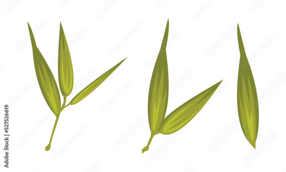 Green Bamboo Leaves as China Object and Traditional Cultural Chinese Symbol Vector Set Green Bamboo Leaves as China Object and Traditional Cultural Chinese Symbol Vector Set