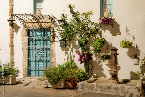 Fototapeta Naklejka Na Ścianę i Meble -  A picturesque glimpse of a street in Alliste with drinking fountain and decorative plants, Alliste, province of Lecce, Salento, Italy
