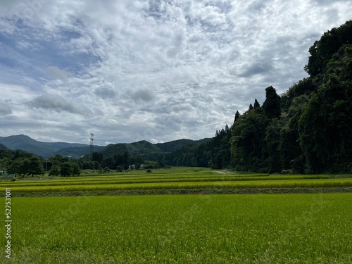 220901上山市永野堀切の棚田

田んぼ
棚田
上山市永野堀切
空
雲
曇り photo