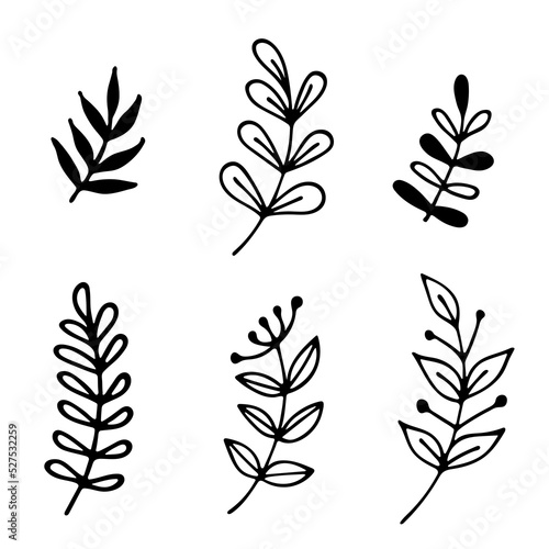 set of vector hand drawn black and white twigs. Curved in a semicircle, rounded and pointed leaves. Decorative elements for the design of cards, posters, logos.