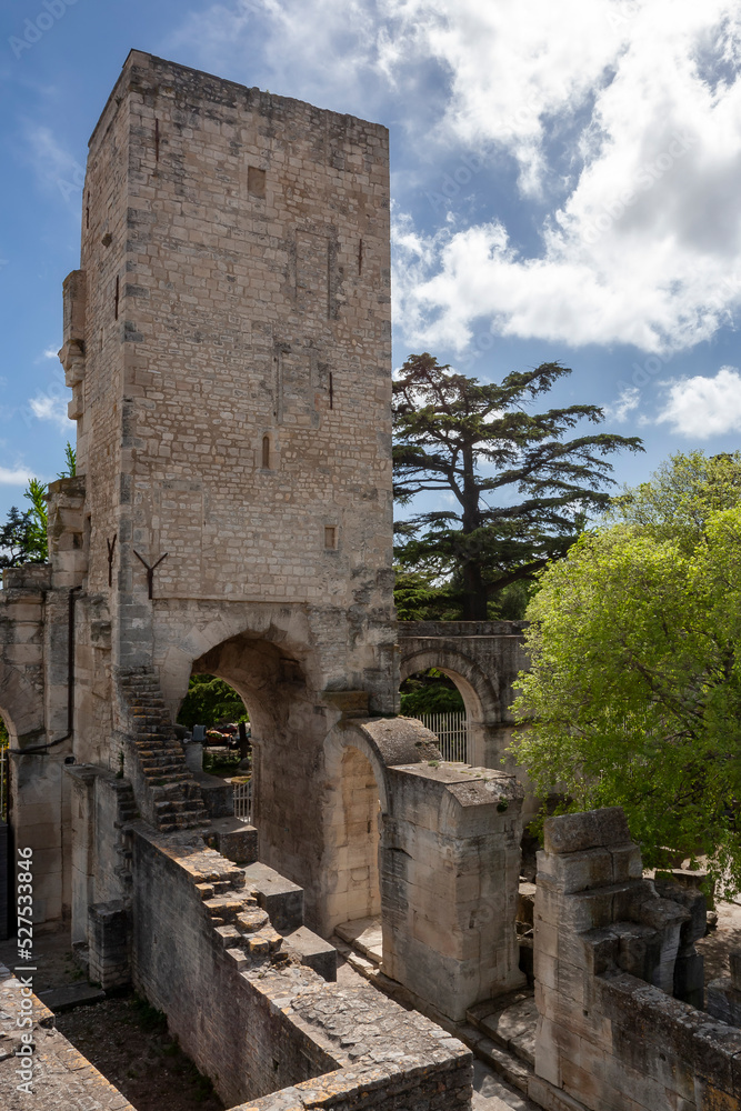 View of the roman ruins of Arles archaeological park in Provence, France