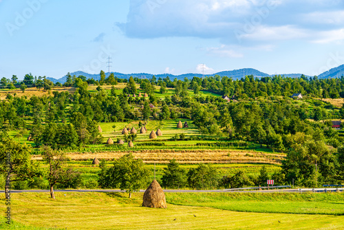 Rural landscape of hay bales on a hill between green trees. Traditional Maramures countryside nature landscape photo