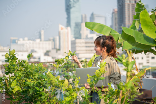 business man city roof owner natural vegetable garden plant grow organic work happy farmer planting harvest.E-commerce community, architecture and landscape. photo