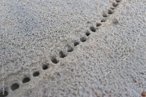 White sand with a pattern formed by rain drops