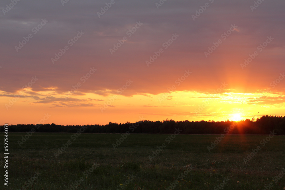 evening landscape with the setting sun, clouds over a forest with a field. last rays of sunset