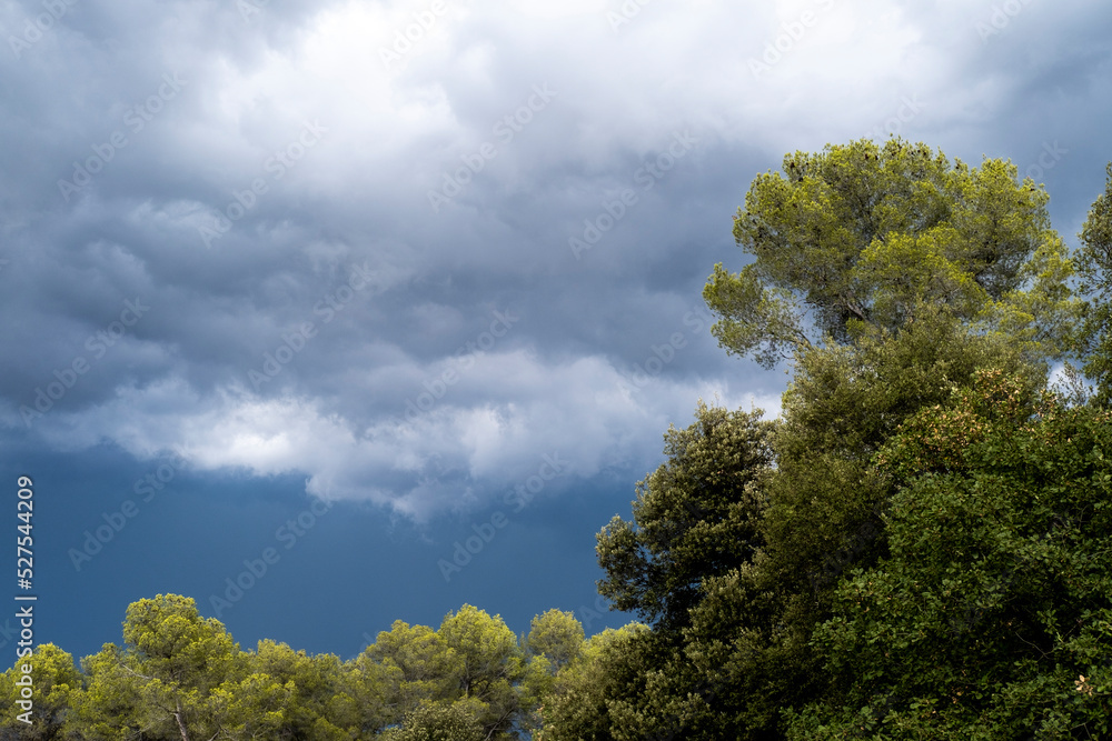 Intense rain storm in the mountains of the Collserola natural park in the province of Barcelona in Catalonia Spain Intense rain storm in the mountains of the Collserola natural park in the province of Barcelona in Catalonia Spain