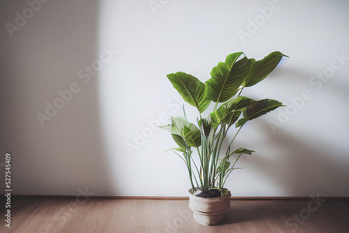 White empty room with plant. Room interior 3d illustration