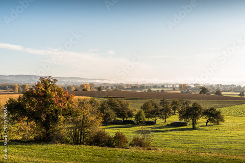 Radolfzeller Aachried nature reserve, on the horizon Lake Constance and the town of Radolfzell, Konstanz district, Baden-Wuerttemberg, Germany photo