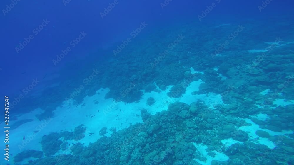 Kuop atoll in Truk lagoon, Chuuk also known as Neoch atoll and Kimishima atoll. Truk lagoon is the World's wreck diving destination Chuuk state of Federated States of Micronesia. Kuop atoll in Truk lagoon, Chuuk also known as Neoch atoll and Kimishima atoll. Truk lagoon is the World's wreck diving destination Chuuk state of Federated States of Micronesia.