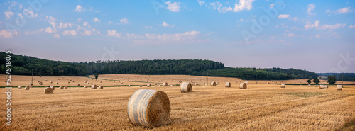 Obraz na płótnie lorraine landscape in the north of france with straw bales under blue summer sky