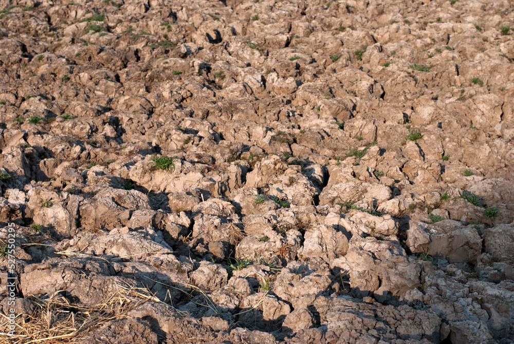 The dry land in the fields. The dry land in the fields.